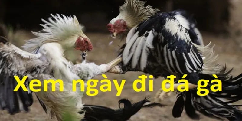 Cach-xem-ngay-ga-da-chuan-khong-can-chinh