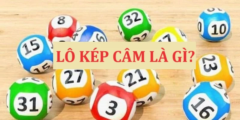 Hieu-nhu-the-nao-ve-lo-kep-cam