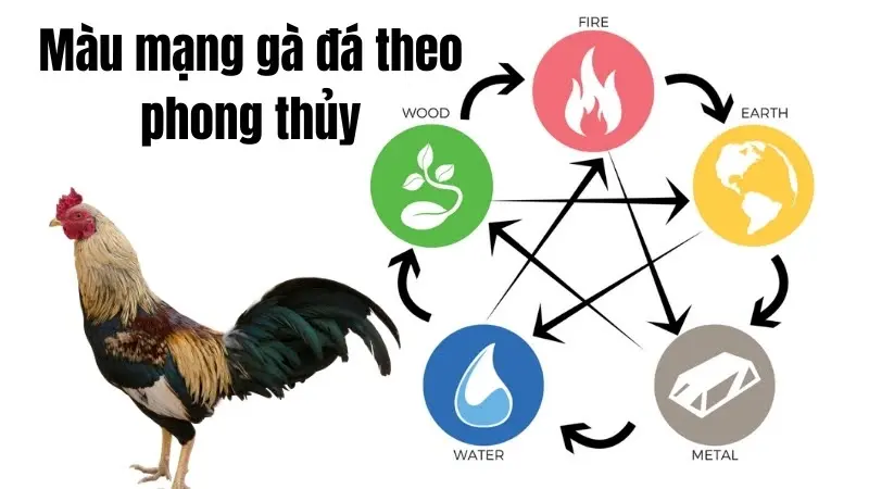 Quy-tac-khi-ung-dung-mau-mang-ga-da