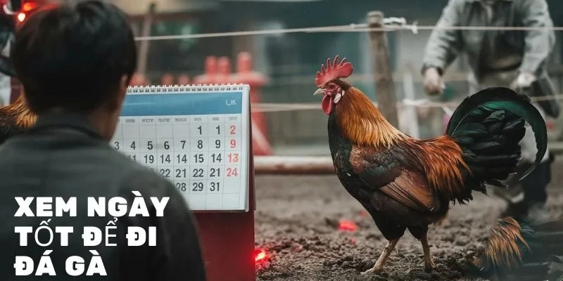 anh-dai-dien-xem-ngay-da-ga